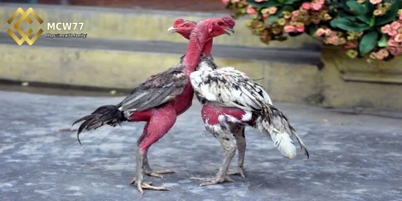 ভিড়ের মানসিকতা এড়িয়ে চলুন