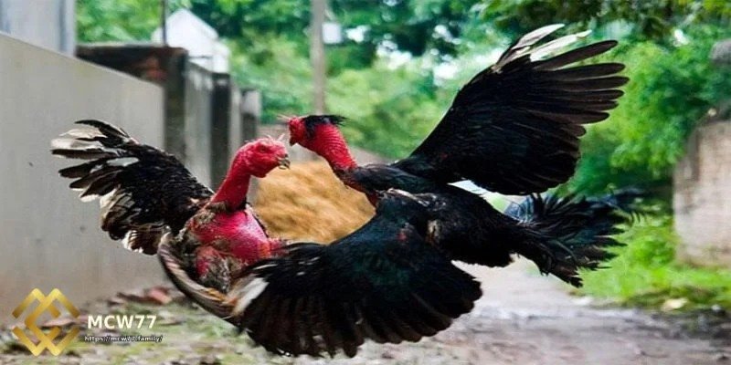 গভীরভাবে গবেষণা করুন