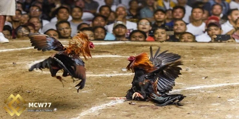 মানসিক স্থিতিশীলতা বজায় রাখুন