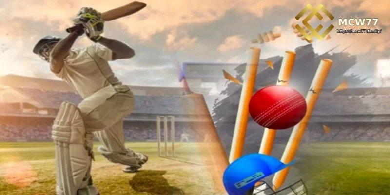 ক্রিকেটের অডস বিশ্লেষণে ভুলগুলো
