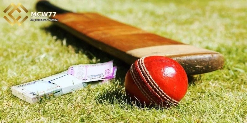 ক্রিকেট ম্যাচ কী?